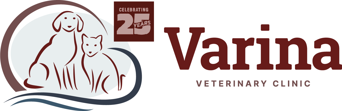 Varina Veterinary Clinic